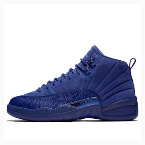 Nike Retro Basketskor Air Jordan 12 Herr Mörkblå | JD-301IN