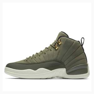 Nike Retro Chris Paul - Class of 2003 Basketskor Air Jordan 12 Herr Gröna | JD-178NF