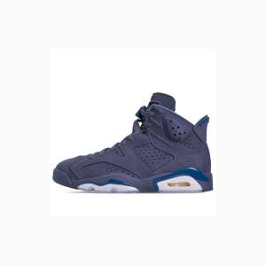 Nike Retro Diffused Basketskor Air Jordan 6 Herr Lila | JD-873TM