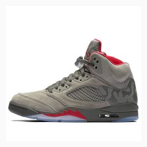 Nike Retro Reflective Camo Basketskor Air Jordan 5 Herr Grå | JD-174QT