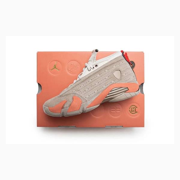 Nike Retro Low CLOT Terra Blush Sneakers Air Jordan 14 Herr Grå Orange | JD-173ID