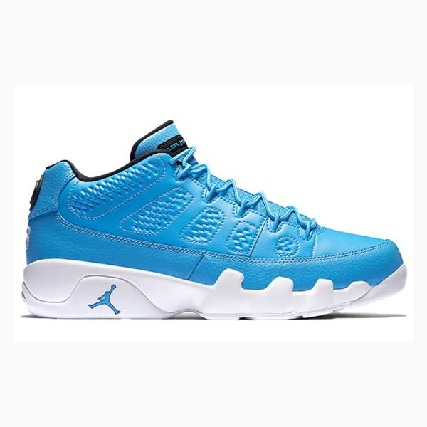 Nike Retro Low Pantone Sneakers Air Jordan 9 Herr Blå | JD-025FI