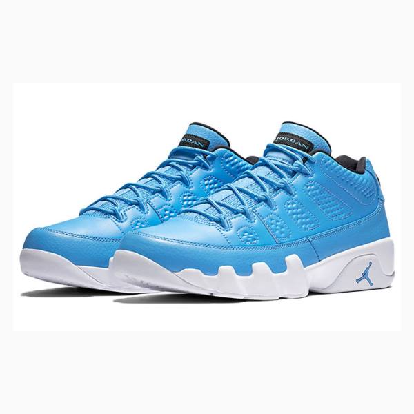 Nike Retro Low Pantone Sneakers Air Jordan 9 Herr Blå | JD-025FI