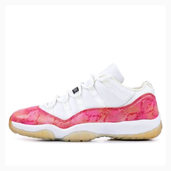 Nike Retro Low \'Snakeskin\' Sneakers Air Jordan 11 Dam Vita Rosa | JD-240CP