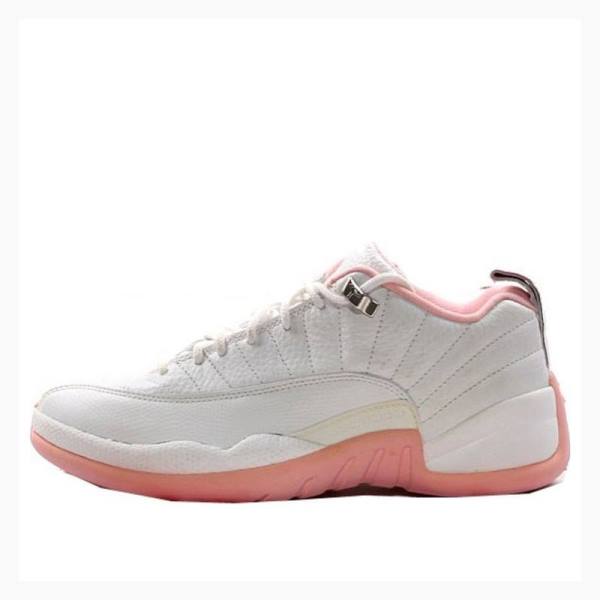 Nike Retro Low Sneakers Air Jordan 12 Dam Vita Rosa | JD-791ZF