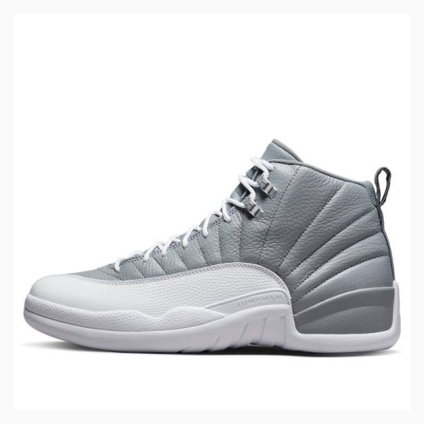 Nike Retro Stealth Basketskor Air Jordan 12 Herr Grå | JD-025SN