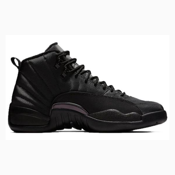 Nike Retro WNTR Winterized - Anthracite Basketskor Air Jordan 12 Herr Svarta | JD-145PW