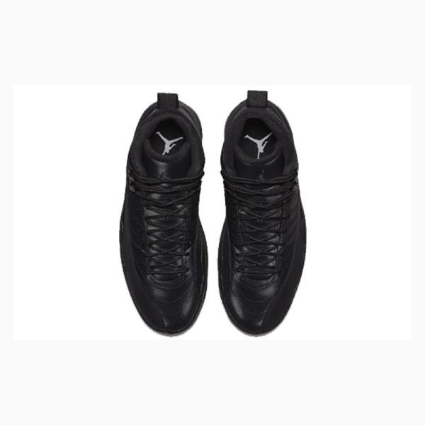 Nike Retro WNTR Winterized - Anthracite Basketskor Air Jordan 12 Herr Svarta | JD-145PW