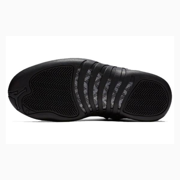 Nike Retro WNTR Winterized - Anthracite Basketskor Air Jordan 12 Herr Svarta | JD-145PW