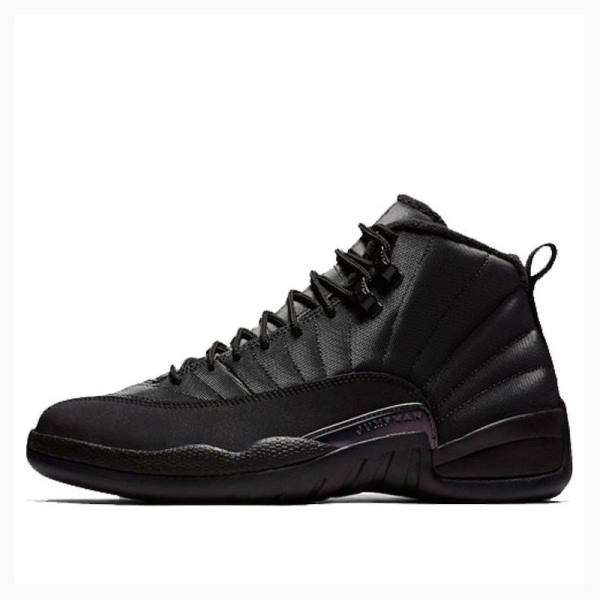 Nike Retro WNTR Winterized - Anthracite Basketskor Air Jordan 12 Herr Svarta | JD-145PW