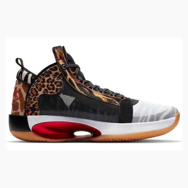 Nike Tatum PE Welcome To The Zoo Basketskor Air Jordan 34 Herr Olika Färger | JD-316LG